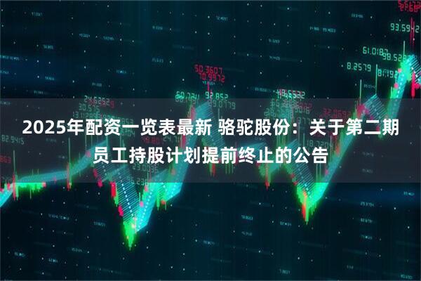 2025年配资一览表最新 骆驼股份：关于第二期员工持股计划提前终止的公告